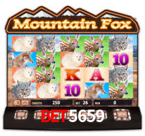 bet5659 plataforma
